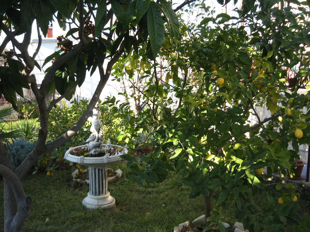 Apartment Zvonar Donji Okrug  ภายนอก รูปภาพ